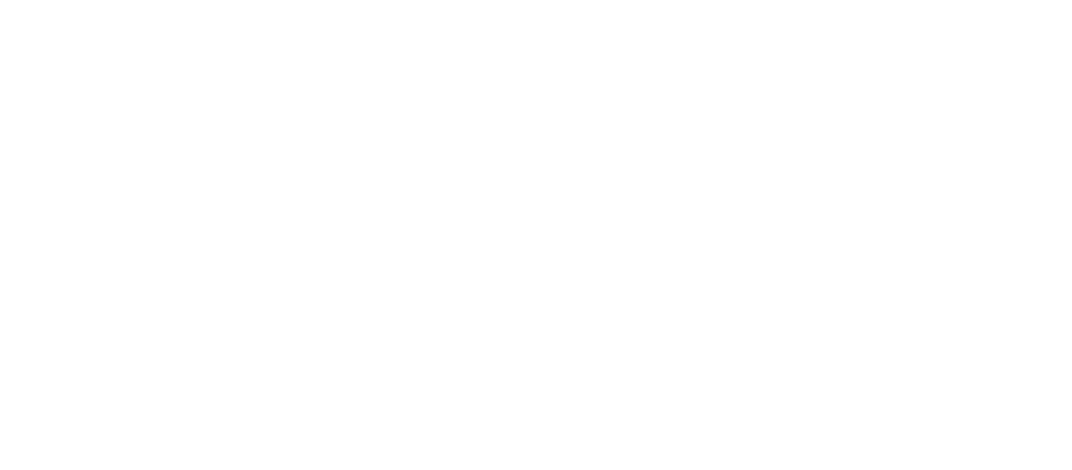 Ciasa Aidin