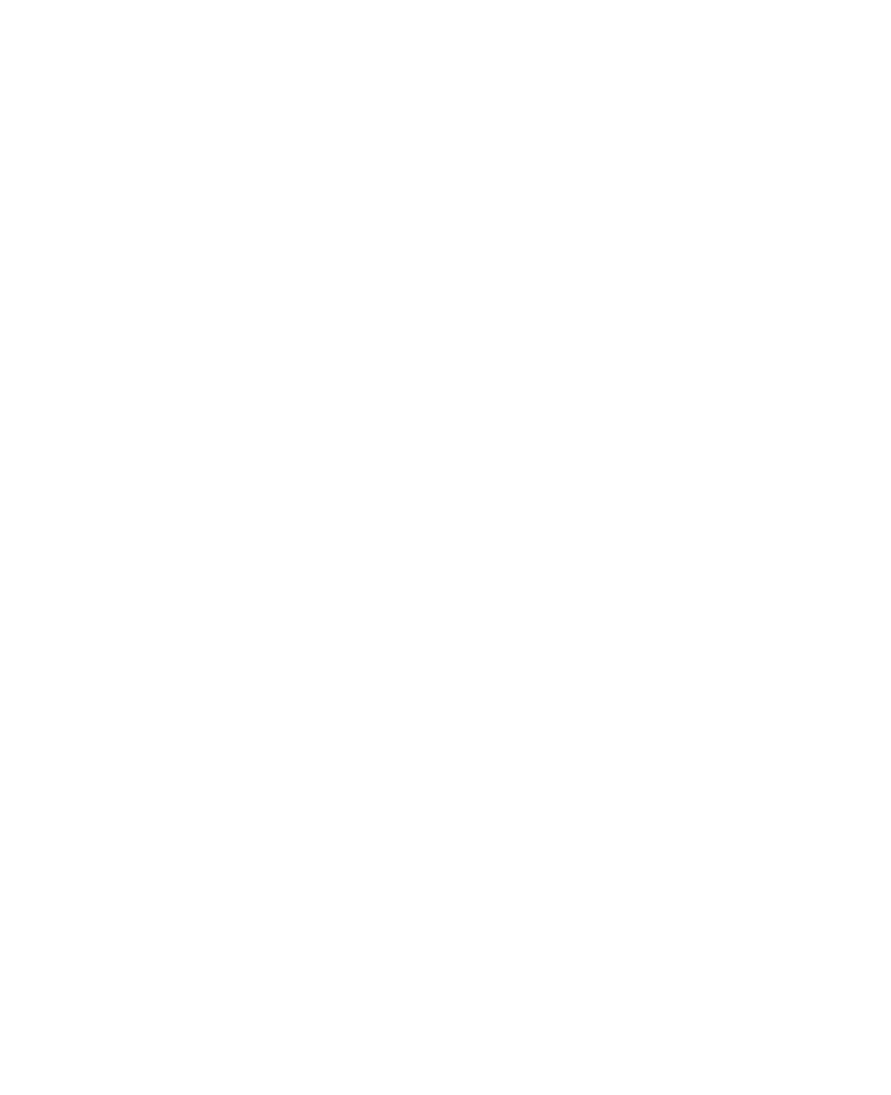 Ciasa Aidin